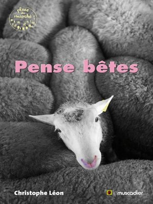 cover image of Pense bêtes